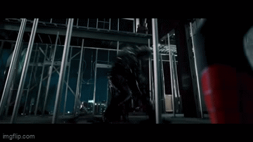 86qy4q.gif