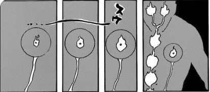 Screen Shot 2023-09-07 at 12.18.25 PM.png