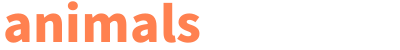 13347e50355c24014218b3f40555c343.png
